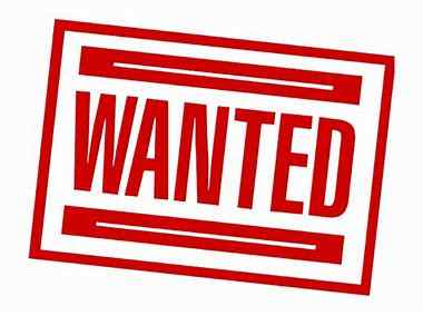 WANTED!! Mauser WTP, WTP2 or WALTHER Mod 9 in .25a