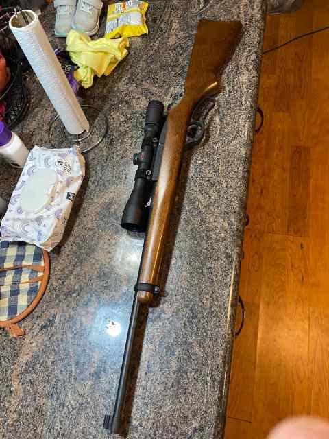 Ruger 96/17