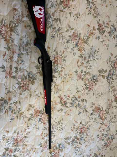 Ruger American .243 Winchester 