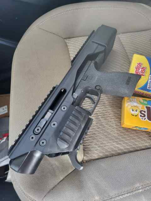 Sig Sauer ACP Adaptive Carbine Platform WTT