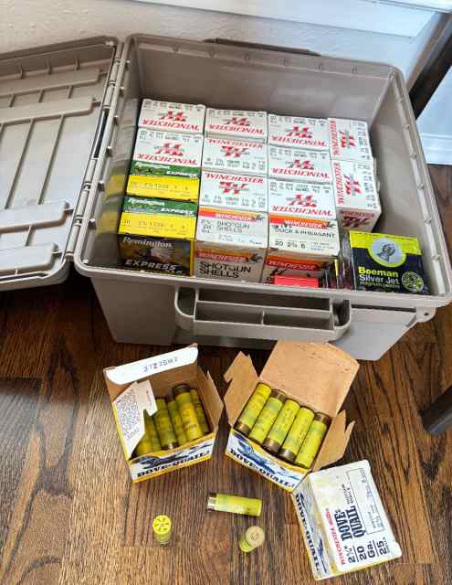 20 gauge shotgun shells 16+ boxes