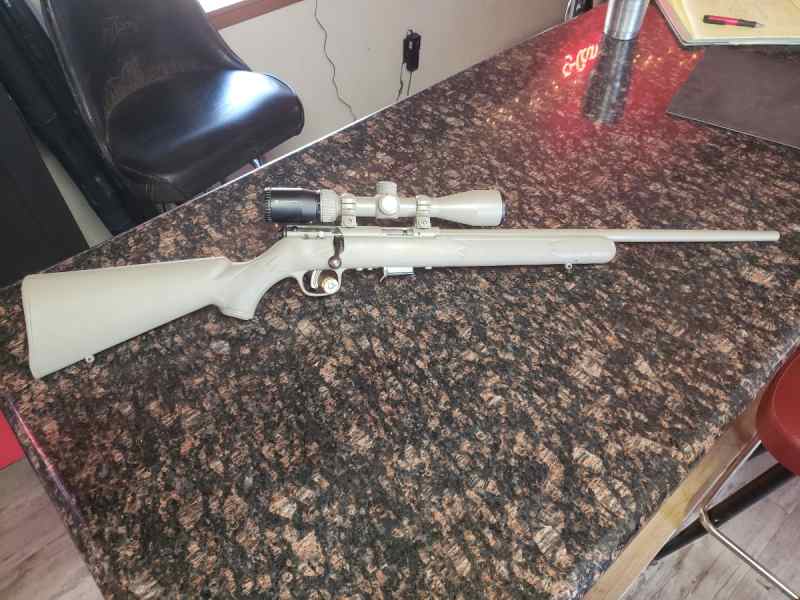 Savage B17 17HMR