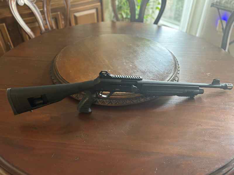 Hatsan escort magnum 12GA