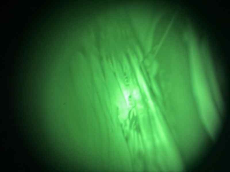 Sightmark Ghost Hunter 1×24 Night Vision Goggle 