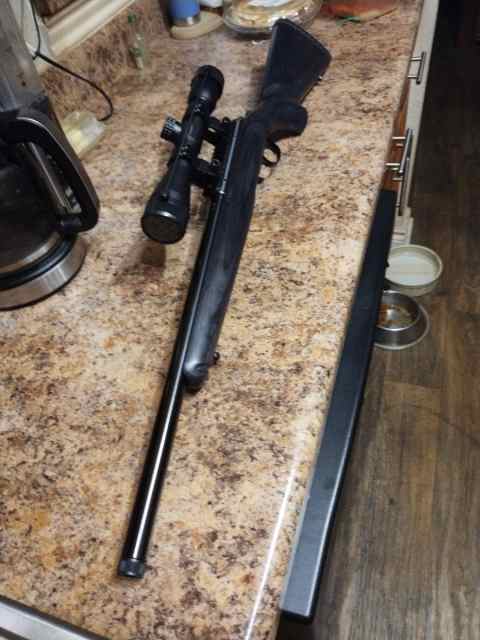 Ruger American bolt action 22