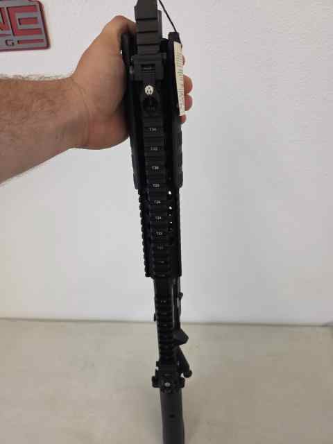 Ruger sr ar15