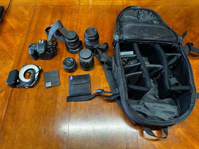 For Sale: Canon T6S DSLR and Lenses