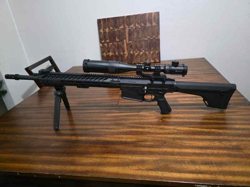 Nemo omen 300 win mag with vortex scope