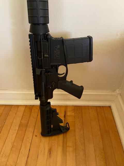 S&amp;W AR10