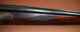 Sauer rt fore.jpg