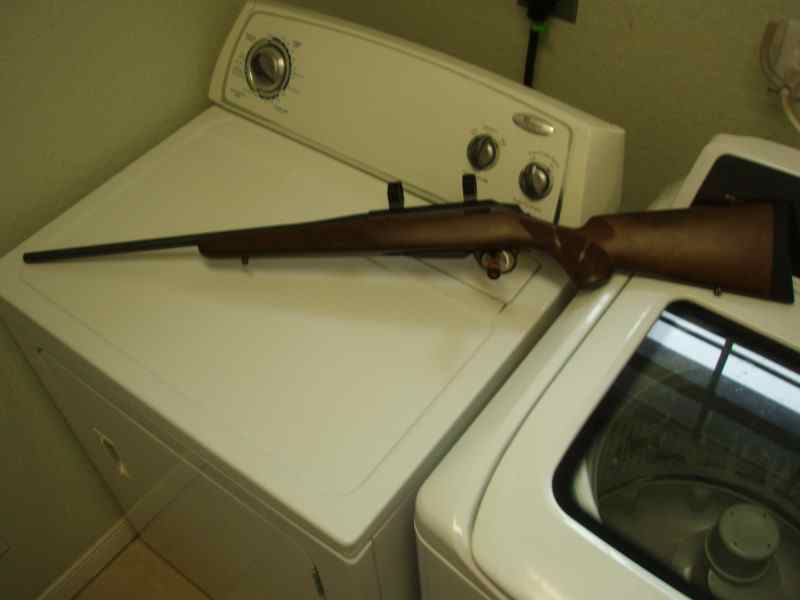 P1010008 [800x600].JPG