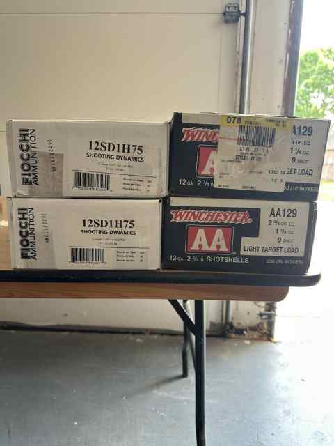 Shotshells.jpeg
