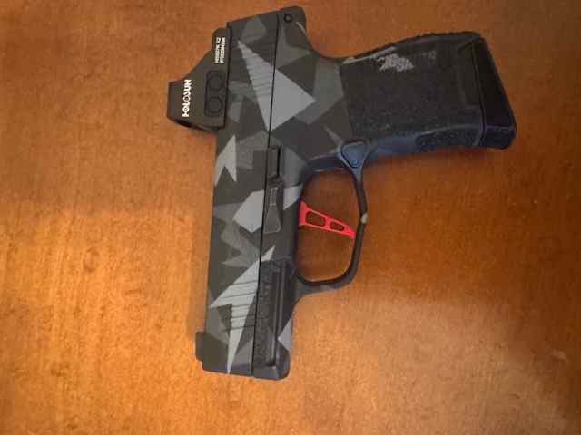 Custom P365X w/ Holosun