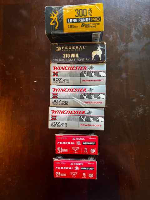 307 Win Rifle Ammo, Winchester Power Point