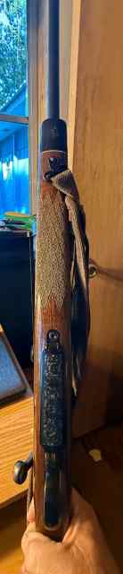 IMG_4447.jpeg