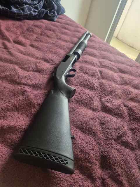 Mossberg 590s