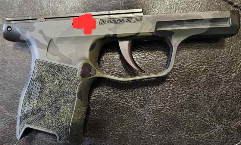 🚨Sig P365 Grip Module and FCU🚨