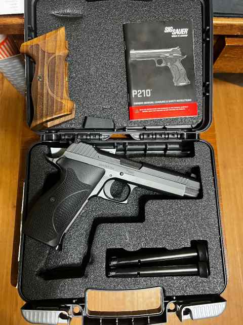 Sig P210 target