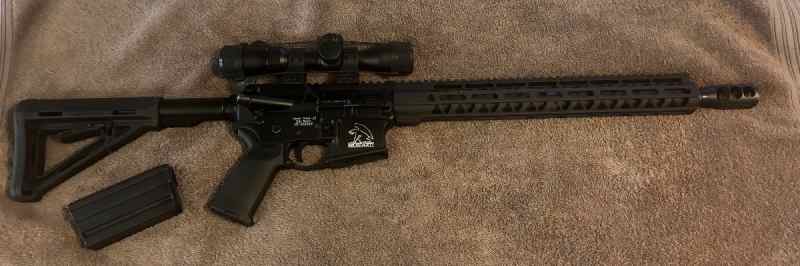450 Bushmaster Ar-15 with Ammo 