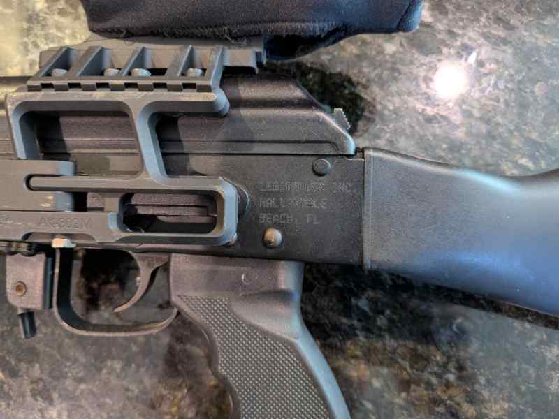 Saiga_2.jpg