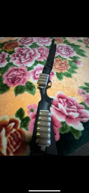 12 gauge 