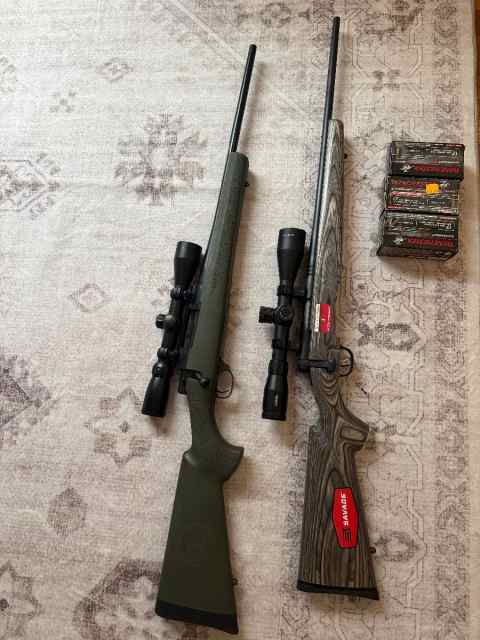 Howa 1500 in 22-250