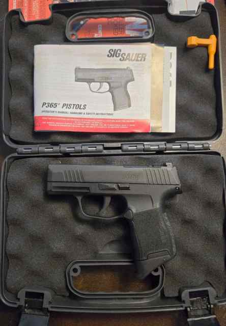 FOR SALE:  Like New Sig 365 in 380