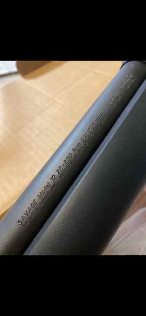 Savage Arms Mod. 12FCV / 22-250 Rem.