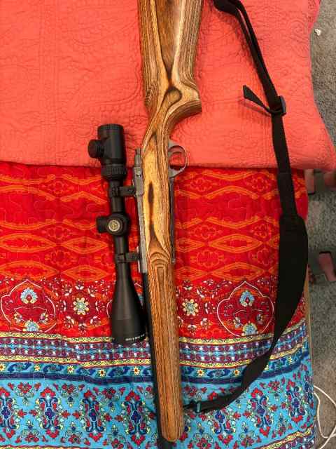 Ruger m77 MK II 25-06
