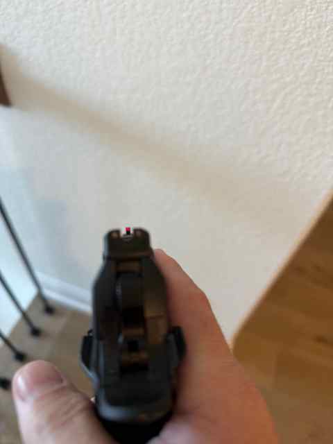 IMG_2779.jpeg