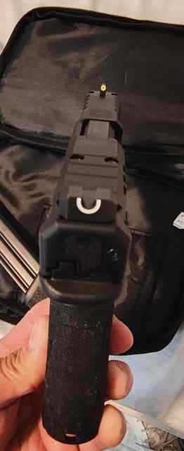 Springfield echelon 