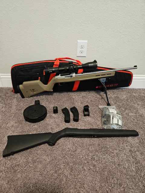 Ruger 10/22 with Magpul Stock