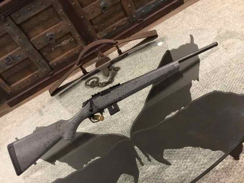 Bergara BMR .22