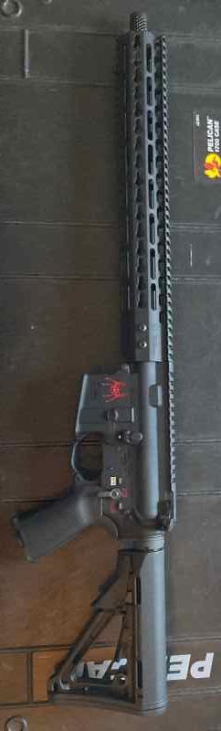 Custom Spikes Tactical AR15 - Brand New