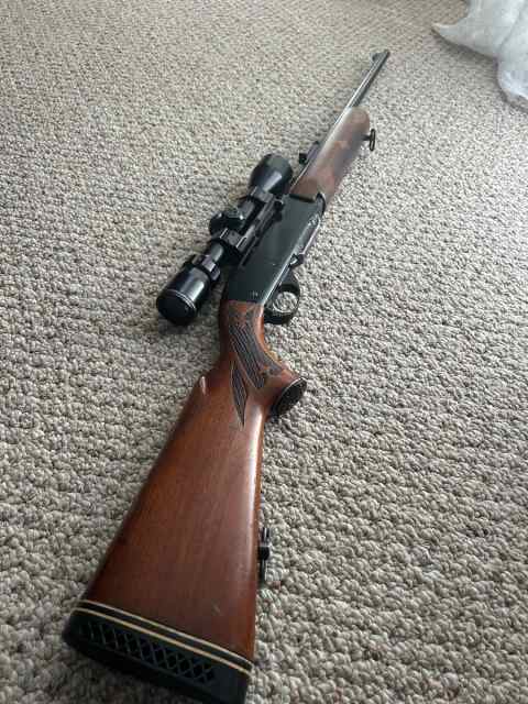 Semi-auto .308 Remington 742 (poor man’s BAR)