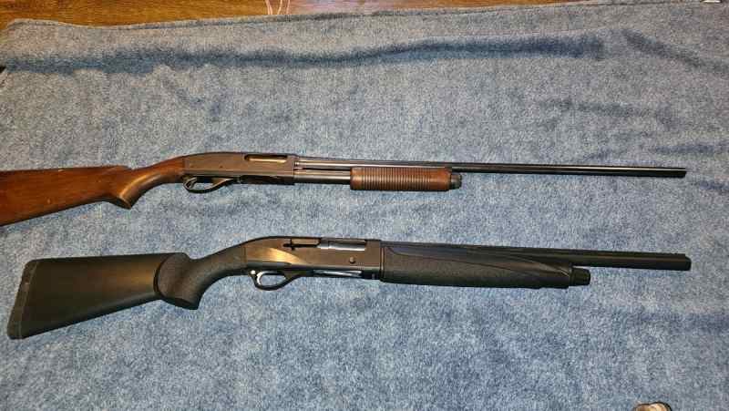 Two Shotguns For Sale